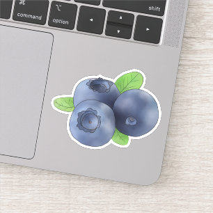blueberry sticker