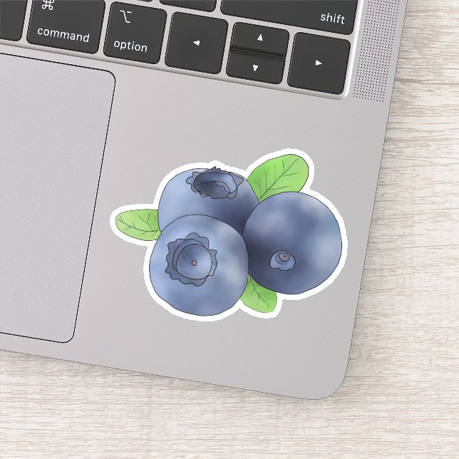 blueberry sticker (Detail)