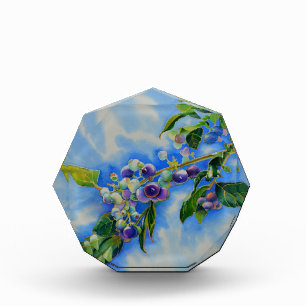 Blueberry watercolor painting acrylic award