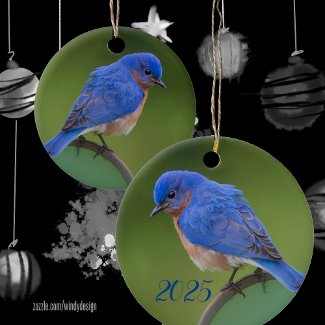 Bluebird 2025 Christmas Ceramic Ornament