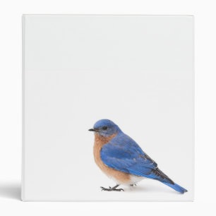 Bluebird 3 Ring Binder