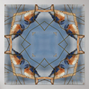 Bluebird Abstract Mirror Nature Art Poster