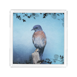 Bluebird Acryllic Tray