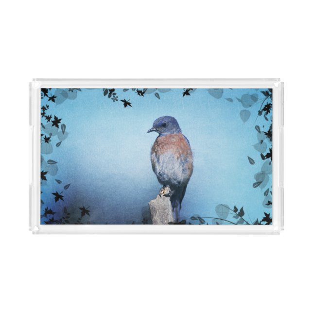 Bluebird Acryllic Tray (Front)