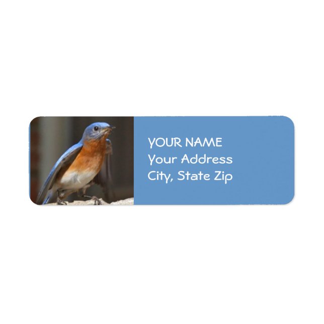 Bluebird Address Label (Front)