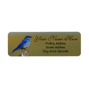 Bluebird Address Label
