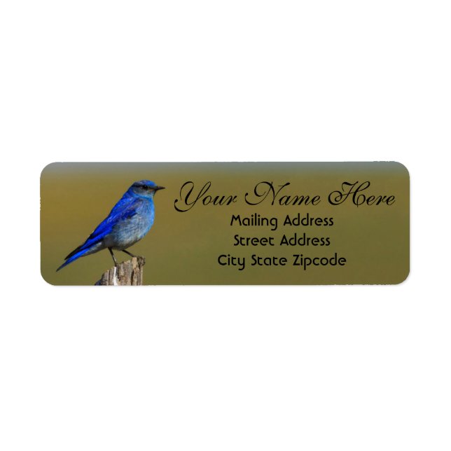 Bluebird Address Label (Front)