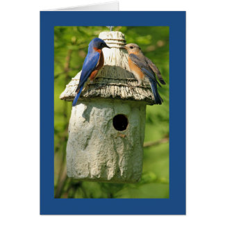 bluebird anniversary card