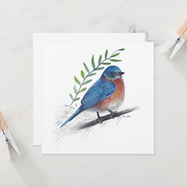 Bluebird Art Bird Card (Front/Back In Situ)