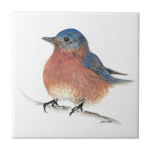 Bluebird Art Ceramic Tile