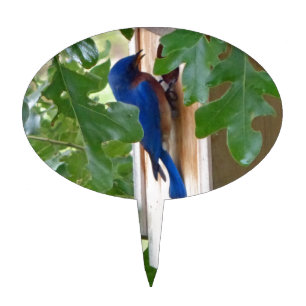 Bluebird at Home Cake Topper