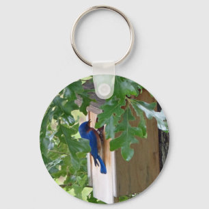Bluebird at Home Keychain