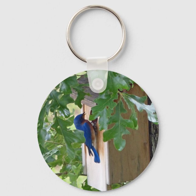 Bluebird at Home Keychain (Front)