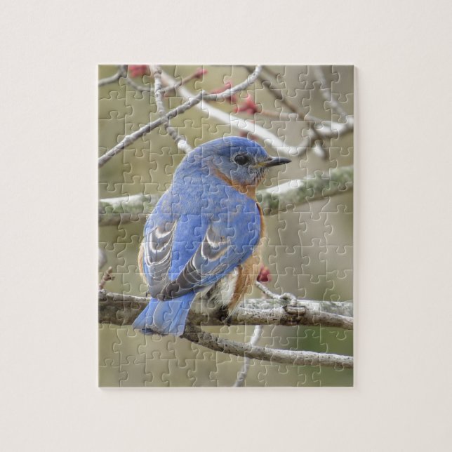 Bluebird Backside Jigsaw Puzzle (Vertical)