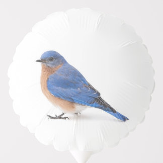 Bluebird Balloon
