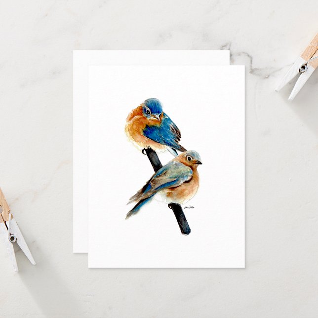 Bluebird Beautiufl Watercolor Note Cards (Beautiful Watercolor Bluebird Note Cards by Jenn Steffen Art)