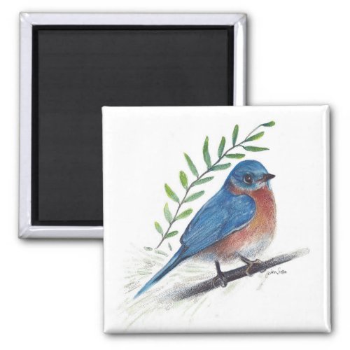 Bluebird Bird Art Magnet
