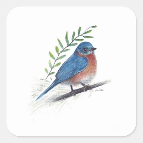 Bluebird Bird Art Square Sticker