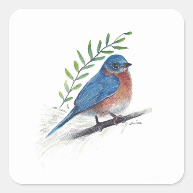 Bluebird Bird Art Square Sticker (Front)