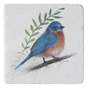 Bluebird Bird Art Trivet