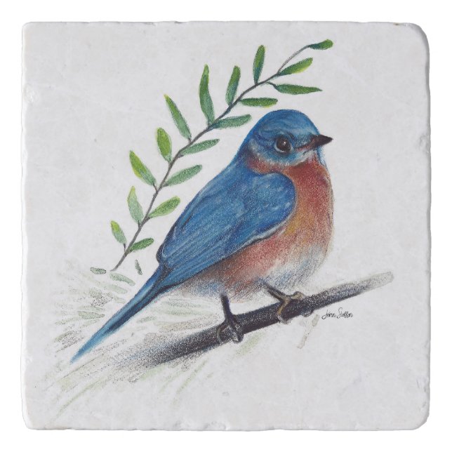 Bluebird Bird Art Trivet (Front)