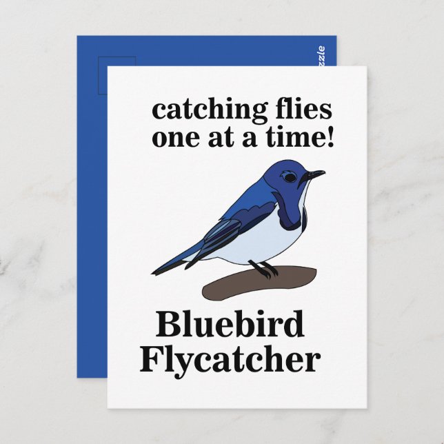 Bluebird Bird Lover Funny Postcard (Front/Back)