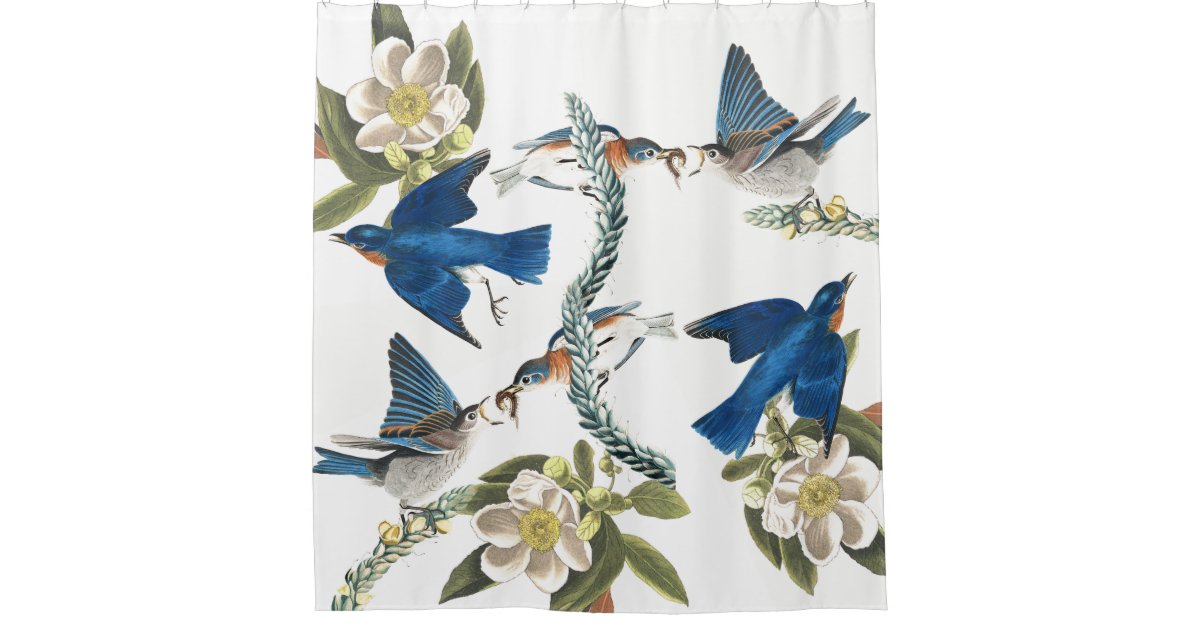 Bluebird Birds Audubon Wildlife Shower, Wildlife Shower Curtain Hooks
