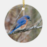 Bluebird Blue Bird In Tree Ceramic Ornament at Zazzle