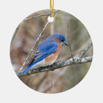 Bluebird Blue Bird In Tree Ceramic Ornament by snrklz at Zazzle
