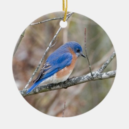 Bluebird Blue Bird In Tree Ceramic Ornament