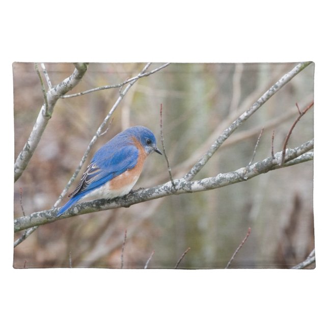 Bluebird Blue Bird in Tree Cloth Placemat (Front)