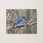 Bluebird Blue Bird In Tree Jigsaw Puzzle at Zazzle