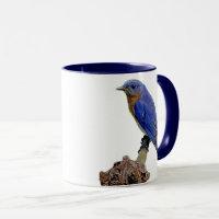 Personalized Grandma Gift with Custom Bluebird Mug - Unique