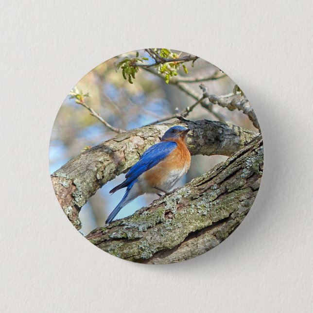 Bluebird Button (Front)