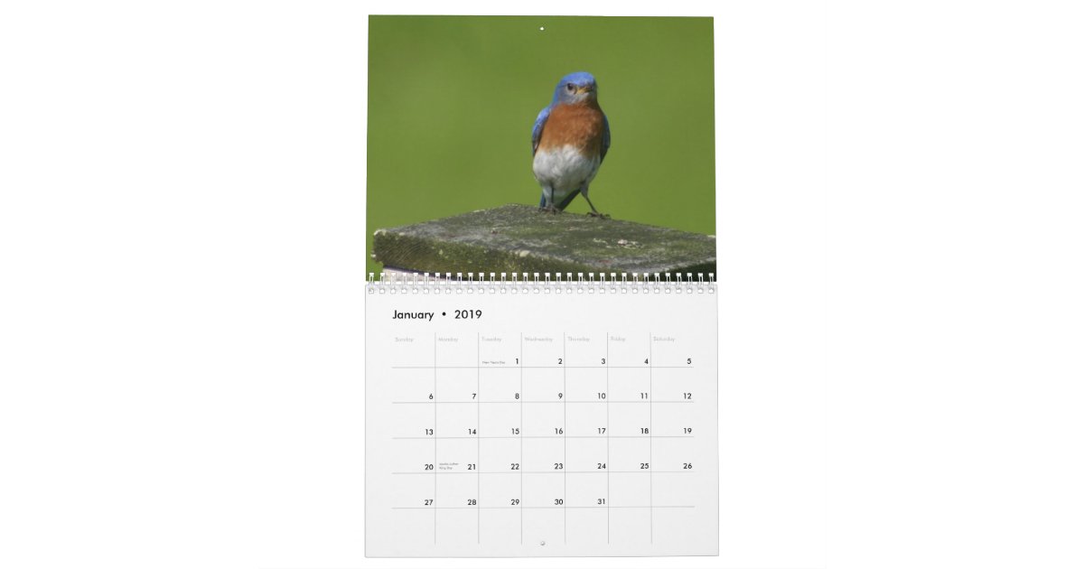 bluebird calendar