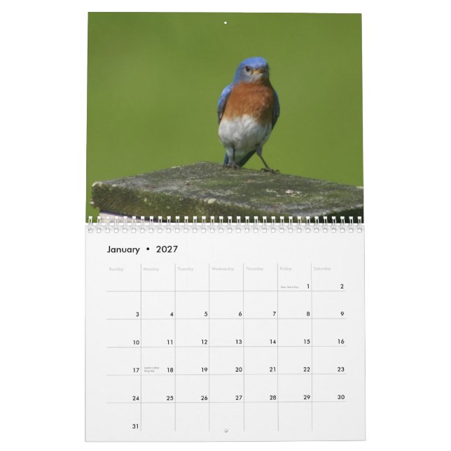 bluebird calendar (Jan 2027)