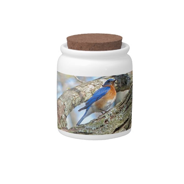 Bluebird Candy Jar (Front)
