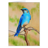 Bluebird Cards (Front)