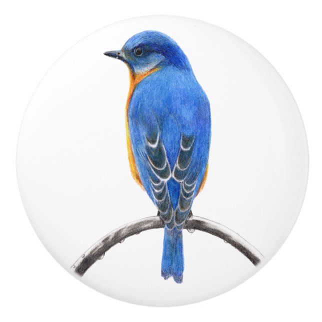 Bluebird Ceramic Knob (Front)