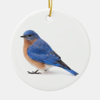 Bluebird Ceramic Ornament by PixLifeBirds at Zazzle