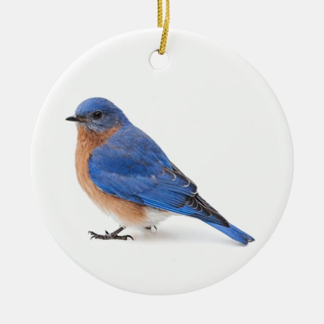 Bluebird Ceramic Ornament (Front)