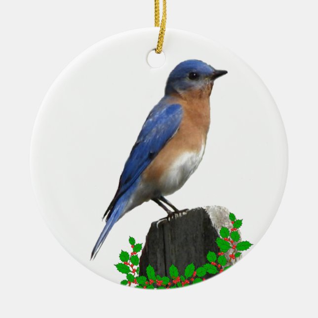 Bluebird Christmas Ceramic Ornament (Front)