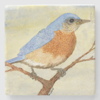 Bluebird Coaster 1