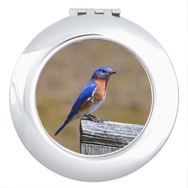 Bluebird Compact Mirror (Front)
