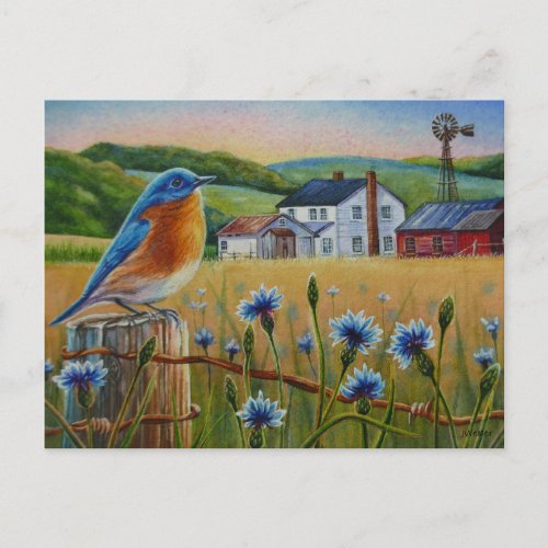 Bluebird Cornflowers Summer Farm Watercolor Art Postcard