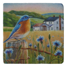 Bluebird Cornflowers Summer Farm Watercolor Art Trivet