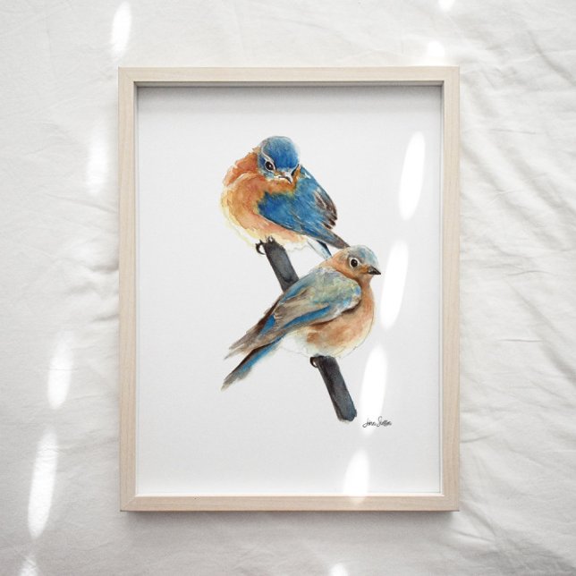 Bluebird Couple Watercolor Art Print (Bluebird watercolor art print from Jennifer Steffen, Jenn's Emporium. )