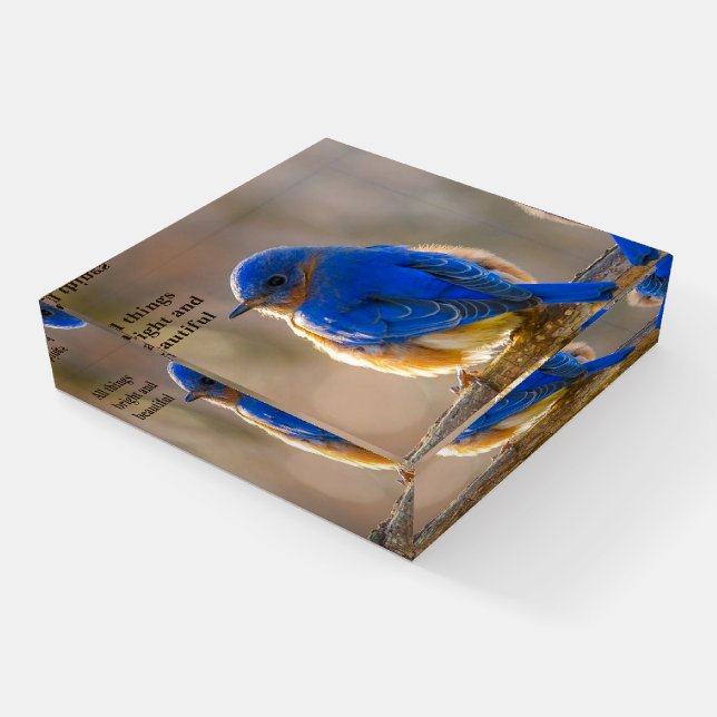 Bluebird Customize Name Personal Greeting Glass Paperweight (Angled)