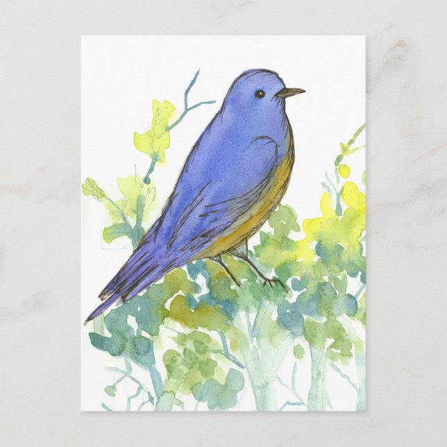 Bluebird Desert Sagebrush Watercolor Postcard (Front)
