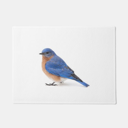 Bluebird Doormat